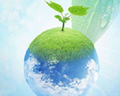 Environmental Test Report
